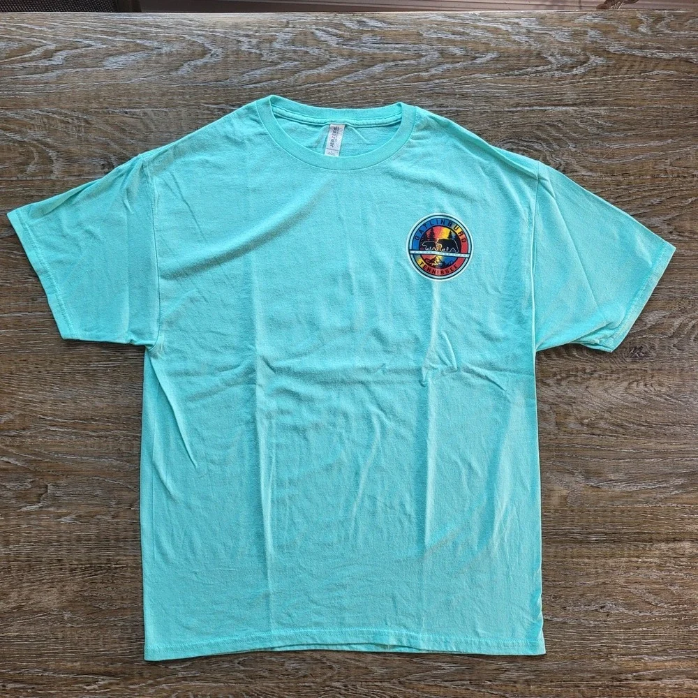 Jerzees Dri-Power Gatlinburg Tennessee Bear Graphic T-Shirt Teal Mens Large
